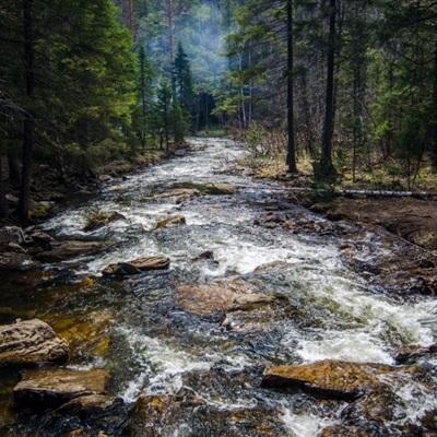 BB贝博平台登录app下载手机版